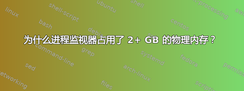 为什么进程监视器占用了 2+ GB 的物理内存？