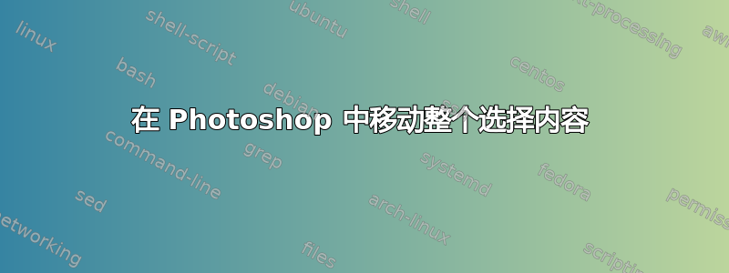 在 Photoshop 中移动整个选择内容