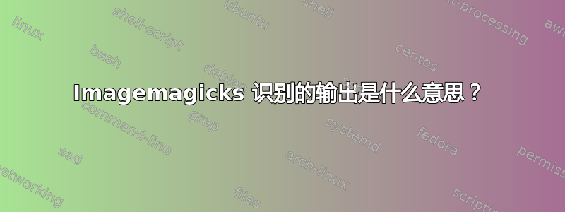 Imagemagicks 识别的输出是什么意思？