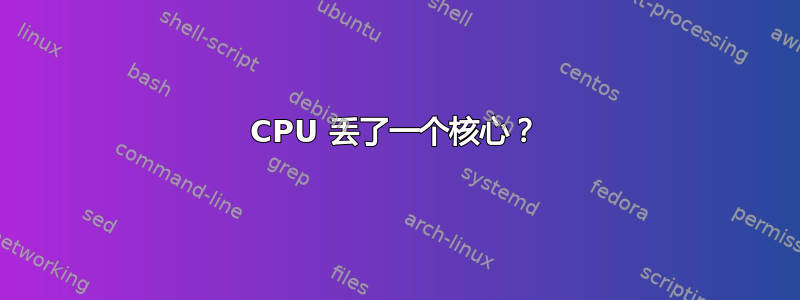 CPU 丢了一个核心？