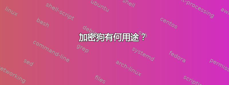 加密狗有何用途？