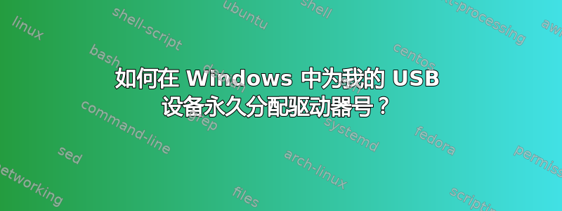 如何在 Windows 中为我的 USB 设备永久分配驱动器号？