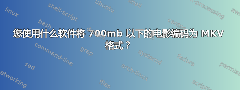 您使用什么软件将 700mb 以下的电影编码为 MKV 格式？