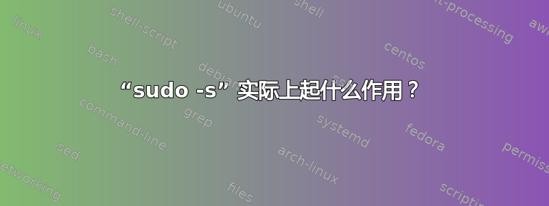 “sudo -s” 实际上起什么作用？