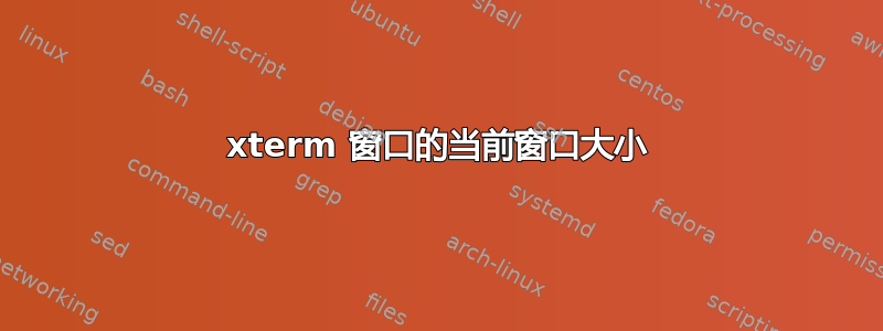 xterm 窗口的当前窗口大小