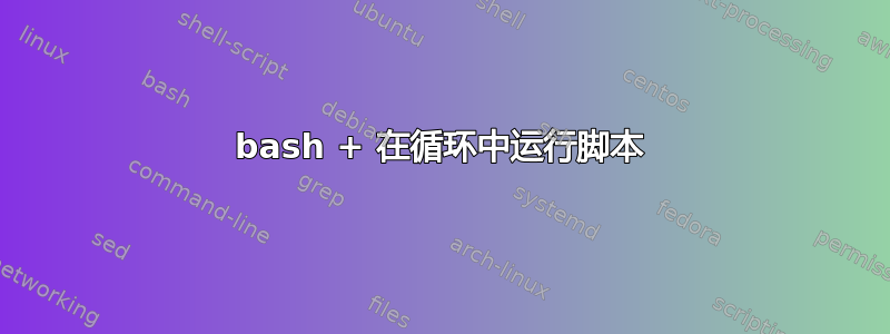 bash + 在循环中运行脚本