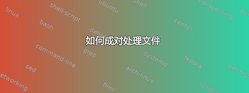 如何成对处理文件