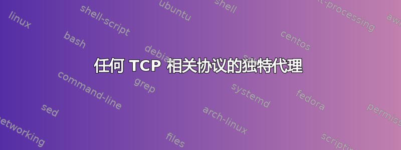 任何 TCP 相关协议的独特代理