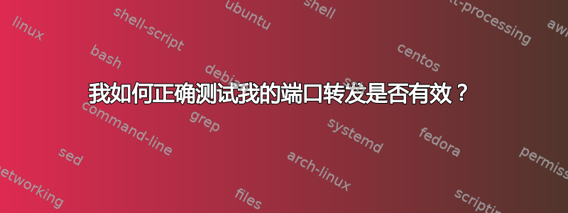 我如何正确测试我的端口转发是否有效？