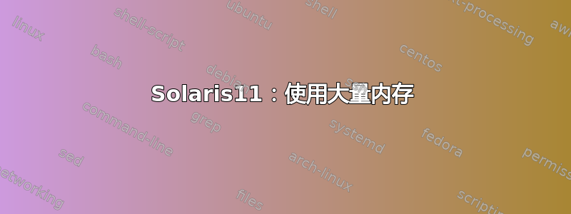 Solaris11：使用大量内存