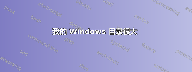 我的 Windows 目录很大