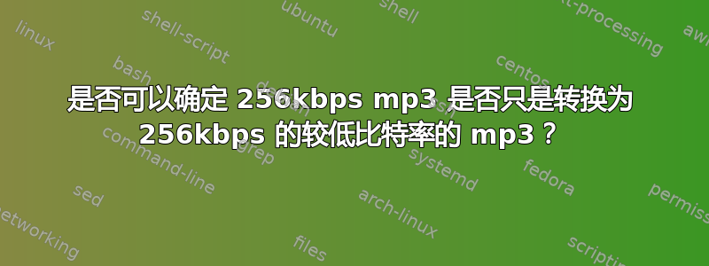 是否可以确定 256kbps mp3 是否只是转换为 256kbps 的较低比特率的 mp3？