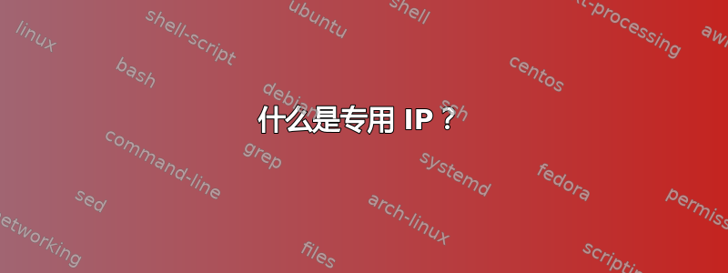 什么是专用 IP？