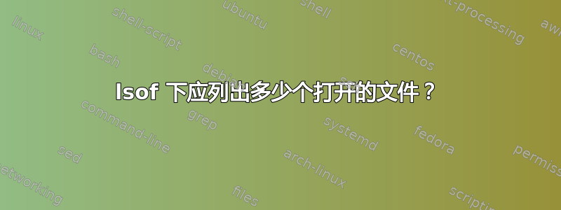 lsof 下应列出多少个打开的文件？