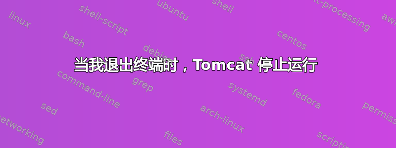 当我退出终端时，Tomcat 停止运行