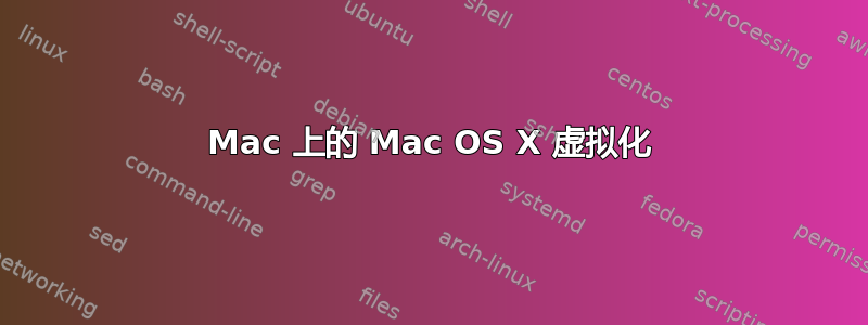 Mac 上的 Mac OS X 虚拟化