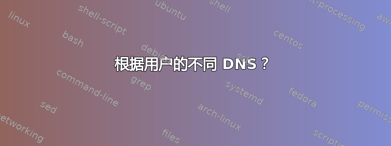 根据用户的不同 DNS？