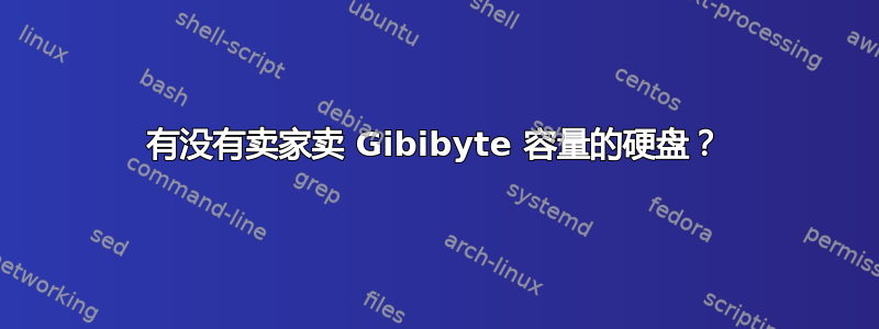 有没有卖家卖 Gibibyte 容量的硬盘？