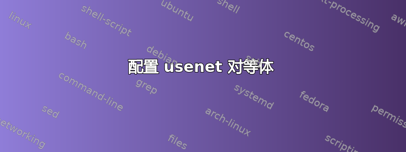 配置 usenet 对等体