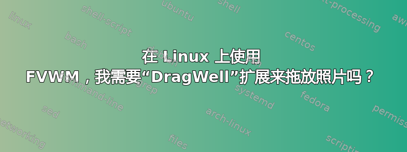 在 Linux 上使用 FVWM，我需要“DragWell”扩展来拖放照片吗？