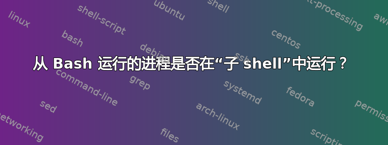 从 Bash 运行的进程是否在“子 shell”中运行？