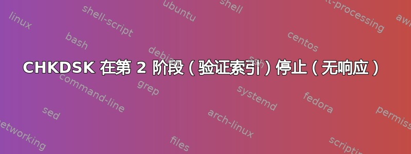 CHKDSK 在第 2 阶段（验证索引）停止（无响应）