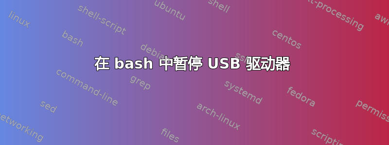 在 bash 中暂停 USB 驱动器