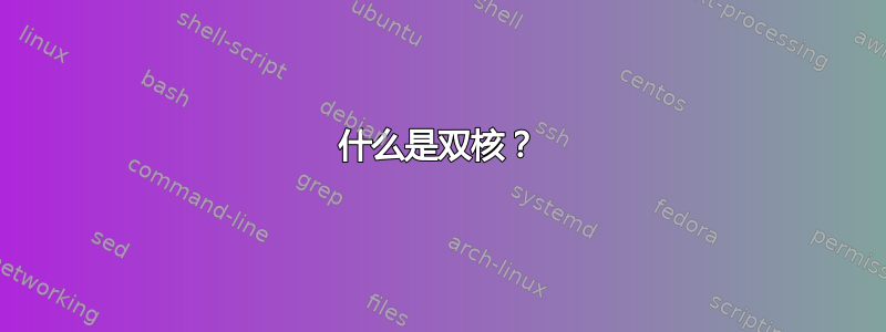 什么是双核？