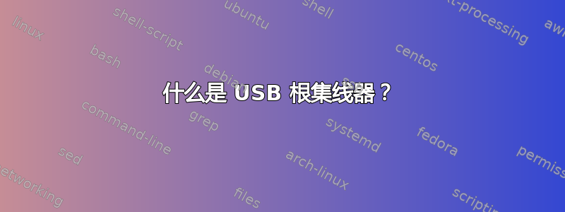 什么是 USB 根集线器？