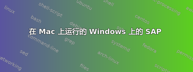 在 Mac 上运行的 Windows 上的 SAP