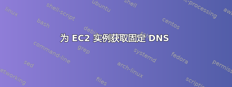 为 EC2 实例获取固定 DNS