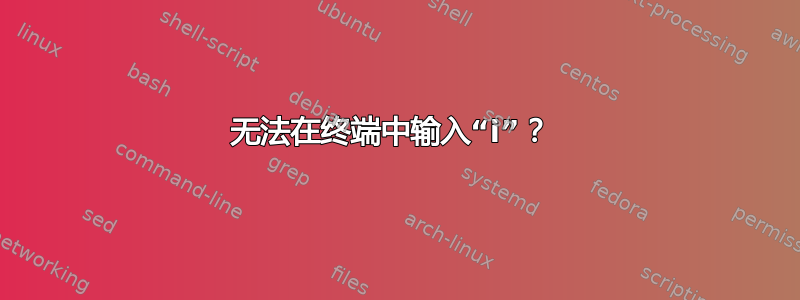 无法在终端中输入“i”？ 