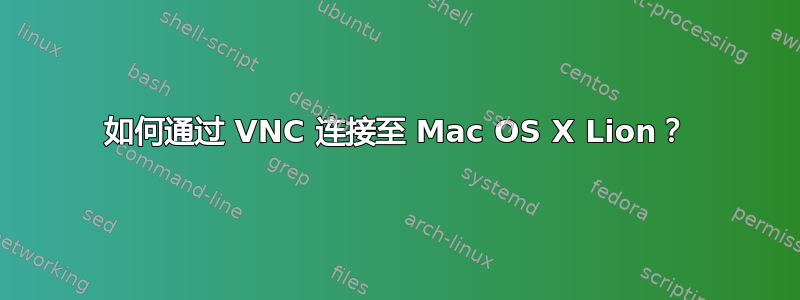 如何通过 VNC 连接至 Mac OS X Lion？