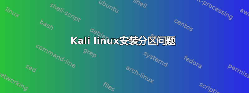 Kali linux安装分区问题