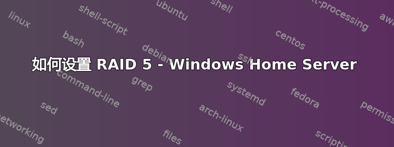 如何设置 RAID 5 - Windows Home Server