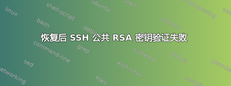 恢复后 SSH 公共 RSA 密钥验证失败