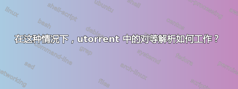 在这种情况下，utorrent 中的对等解析如何工作？