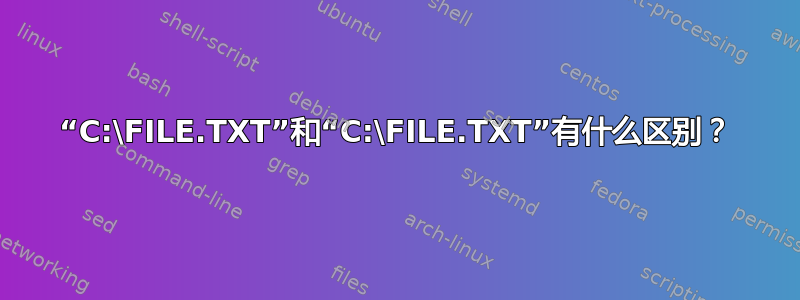 “C:\FILE.TXT”和“C:\FILE.TXT”有什么区别？