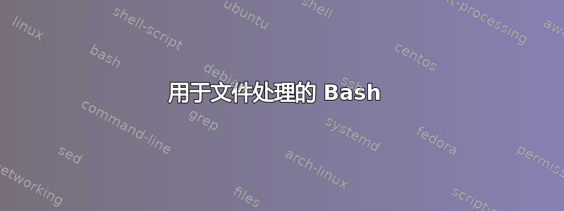 用于文件处理的 Bash 