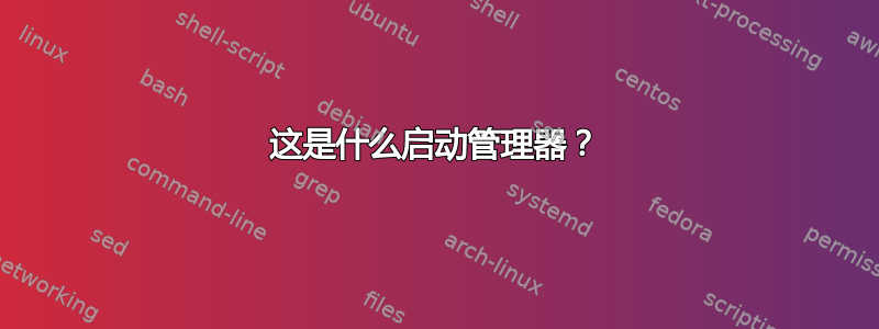 这是什么启动管理器？