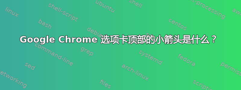 Google Chrome 选项卡顶部的小箭头是什么？