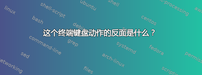 这个终端键盘动作的反面是什么？