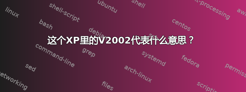 这个XP里的V2002代表什么意思？