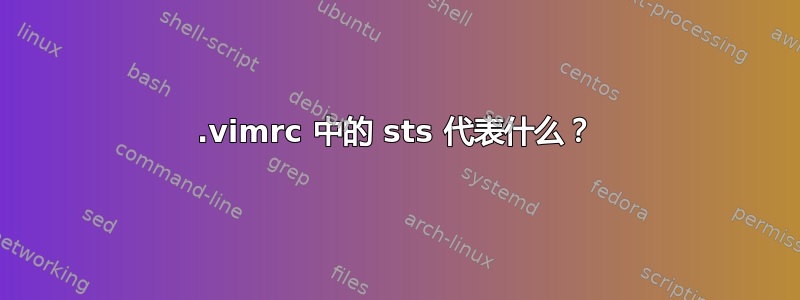 .vimrc 中的 sts 代表什么？