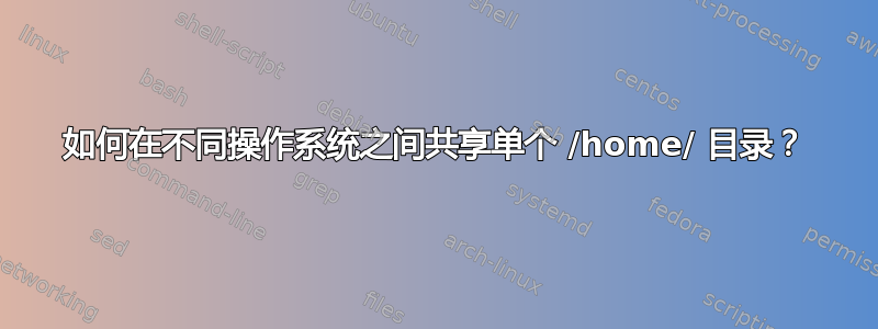 如何在不同操作系统之间共享单个 /home/ 目录？