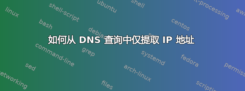 如何从 DNS 查询中仅提取 IP 地址