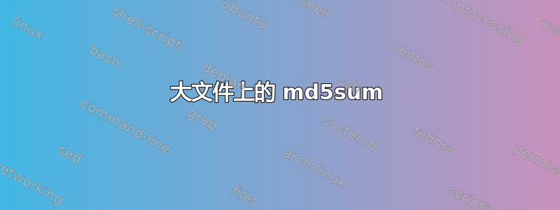 大文件上的 md5sum