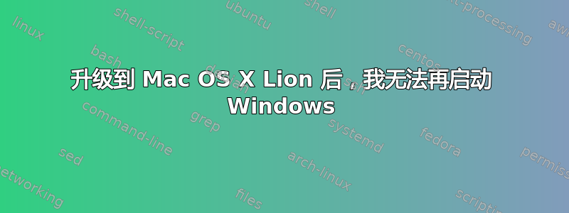 升级到 Mac OS X Lion 后，我无法再启动 Windows