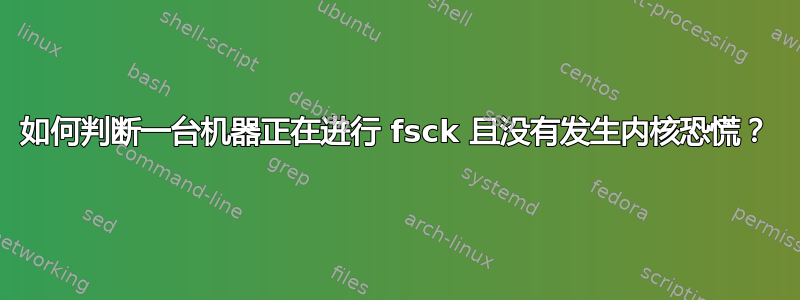 如何判断一台机器正在进行 fsck 且没有发生内核恐慌？