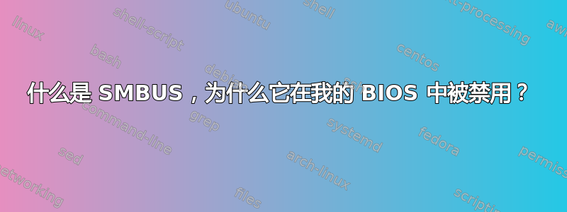 什么是 SMBUS，为什么它在我的 BIOS 中被禁用？